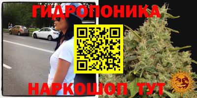 2c-b Гусиноозёрск