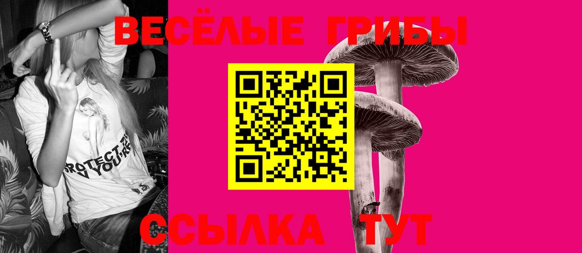 Галлюциногенные грибы мицелий Новошахтинск